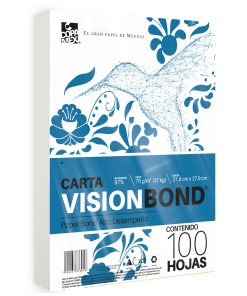 Papel Vision Bond Carta Con 100 Hojas