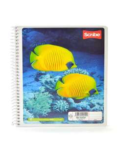 Cuaderno Scribe F.F. 1R 100H 4540 Con Imagen